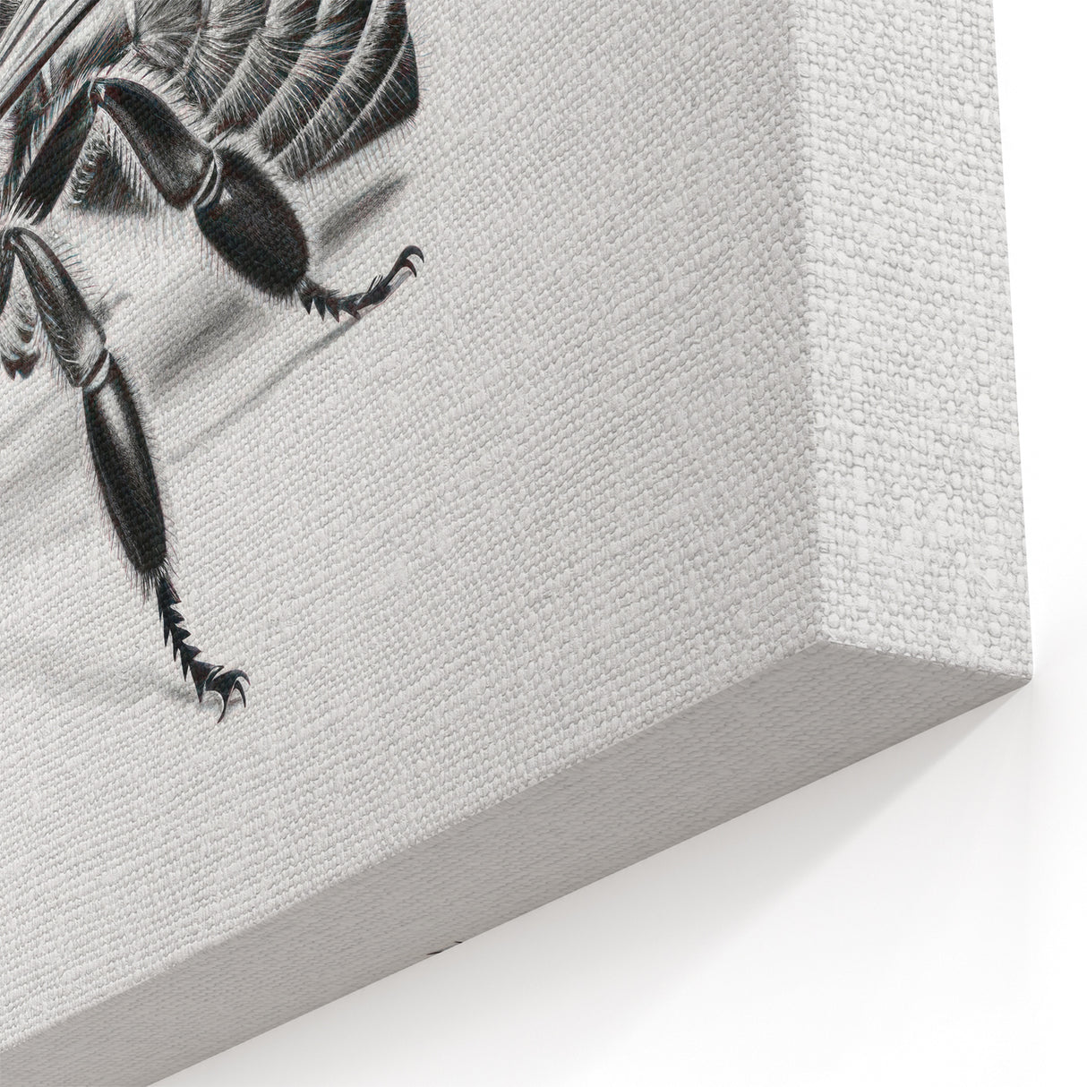 Bee Art Poster - Minimalist Black and White Bee Illustration for Home Decor