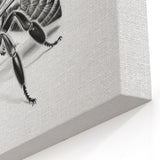 Bee Art Poster - Minimalist Black and White Bee Illustration for Home Decor