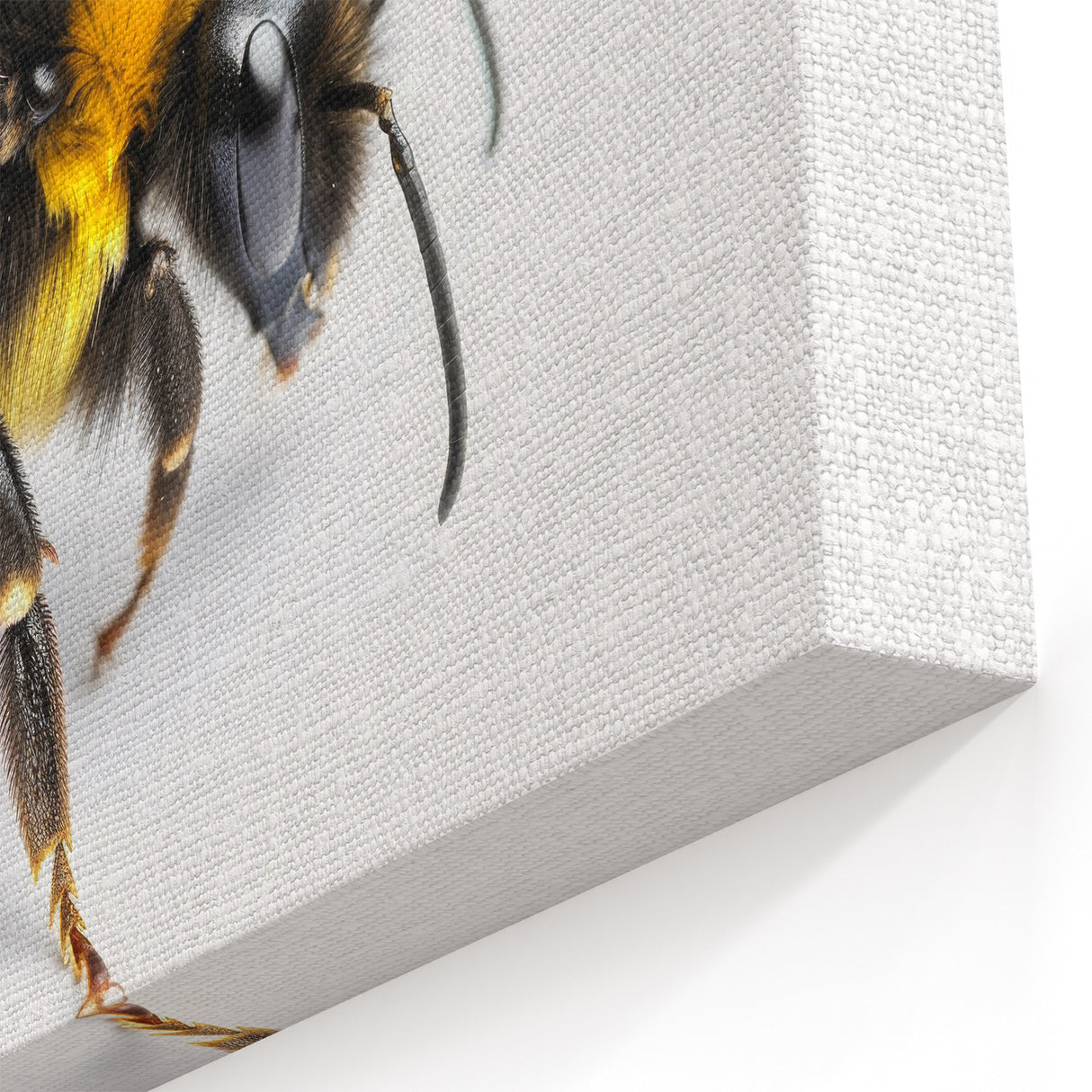 Close-Up Bumblebee Wall Art - Minimalist Nature-Inspired Canvas Print