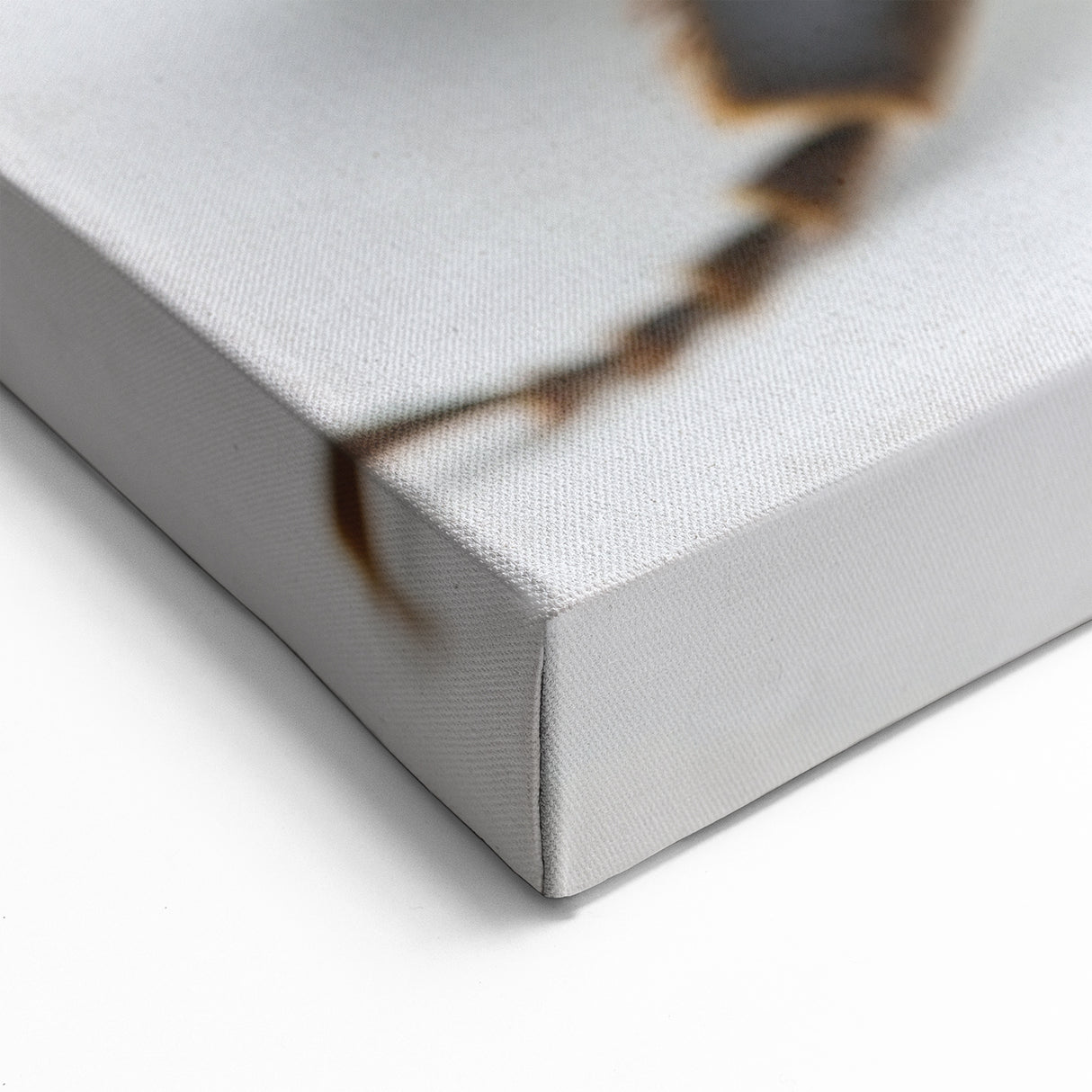 Close-Up Bumblebee Wall Art - Minimalist Nature-Inspired Canvas Print