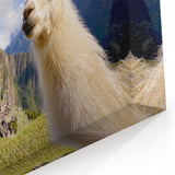Llama at Machu Picchu Wall Art - Scenic Canvas & Framed Prints for Travel Lovers