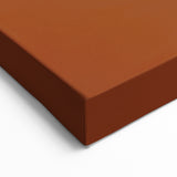 Modern Partridge Wall Art - Decorative Partridge Canvas & Print Decor