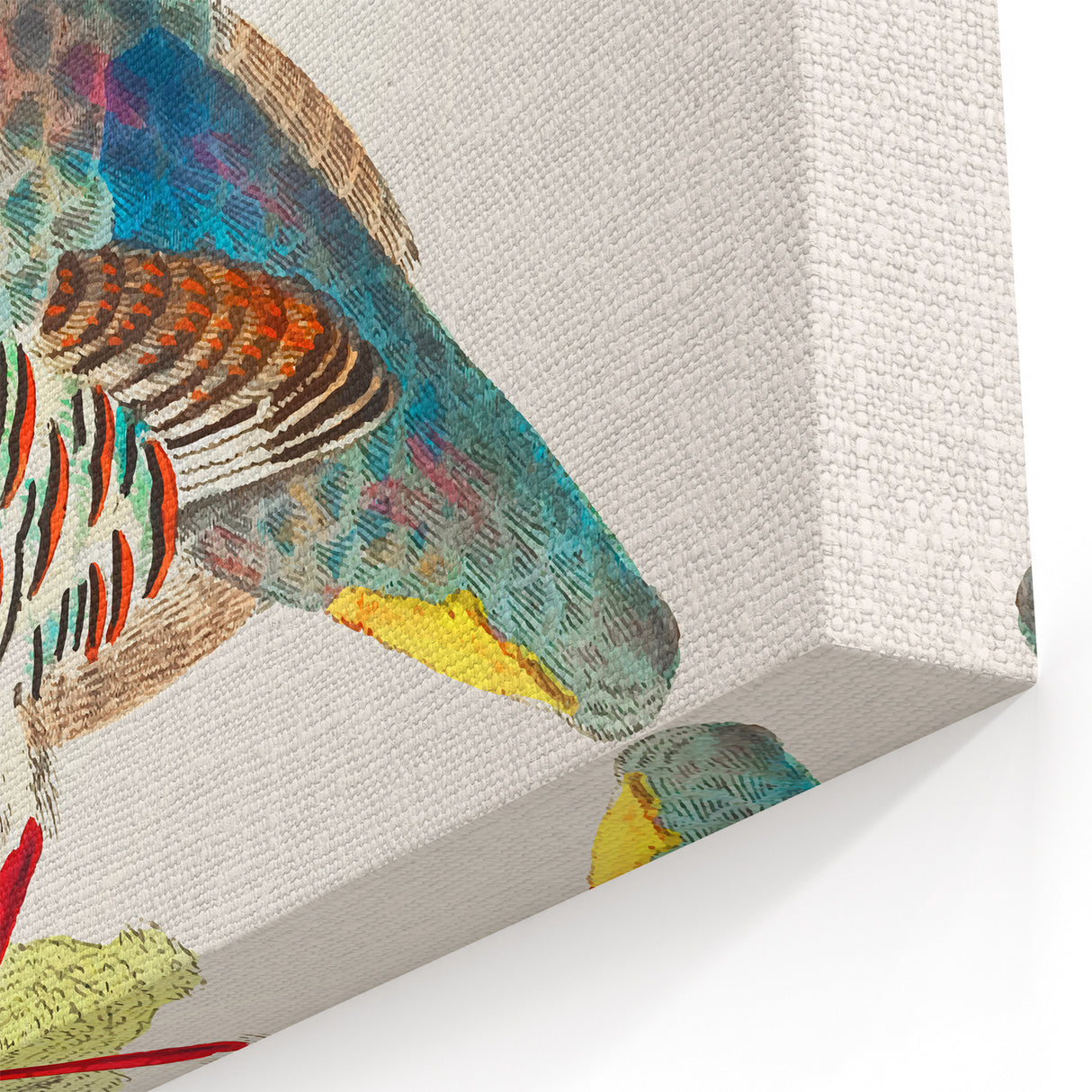 Vibrant Partridge Wall Art - Colorful Wildlife Canvas & Print Decor