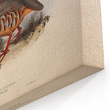 Red-Legged Partridge Wall Art - Classic Wildlife Canvas & Print Decor