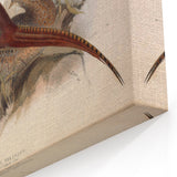 Common Pheasant Wall Art - Classic Wildlife Canvas & Print Decor