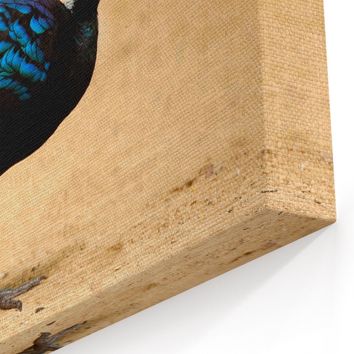 Vibrant Pheasant Wall Art - Exotic Blue Bird Canvas & Print Decor