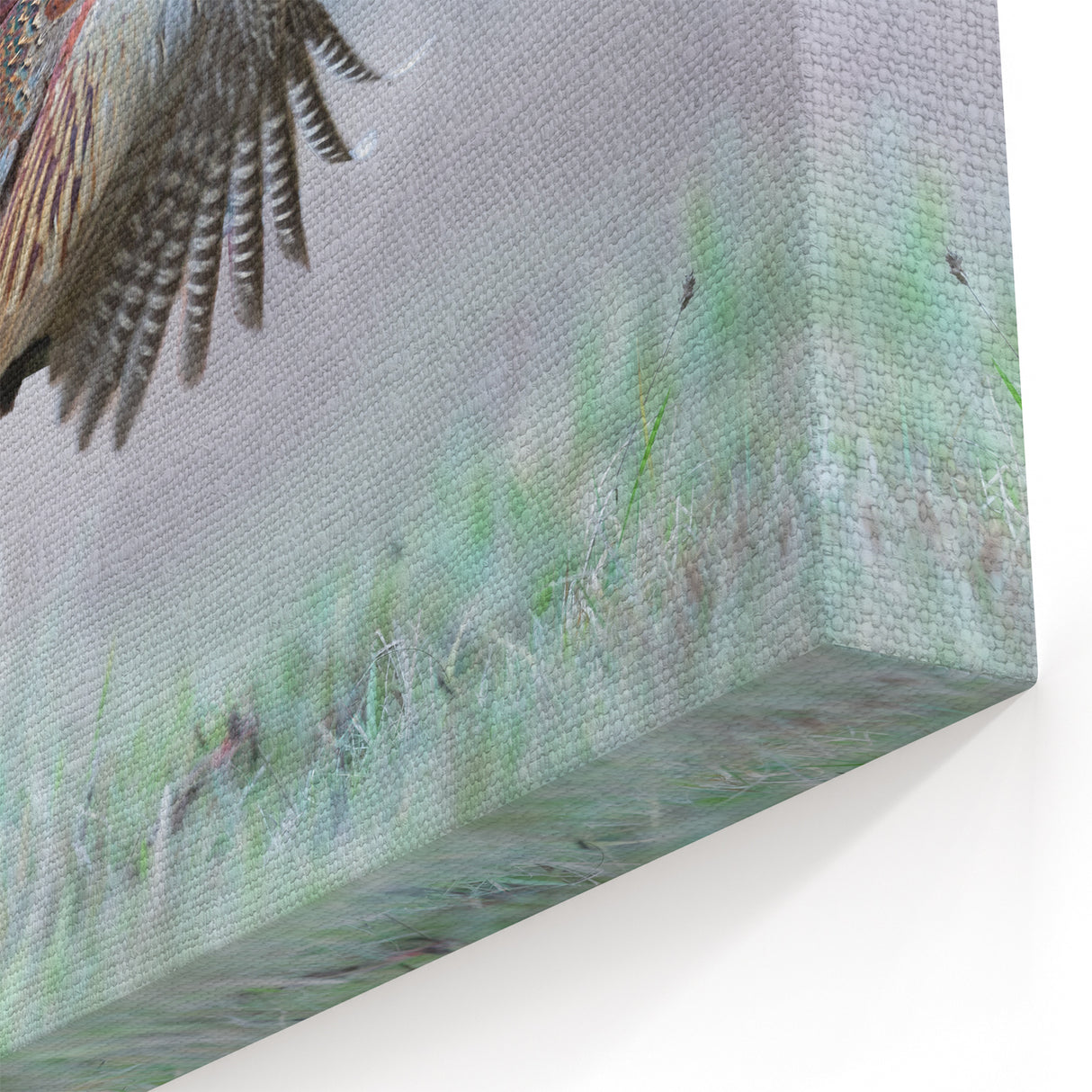 Flying Pheasant Wall Art - Dynamic Wildlife Canvas & Print Decor