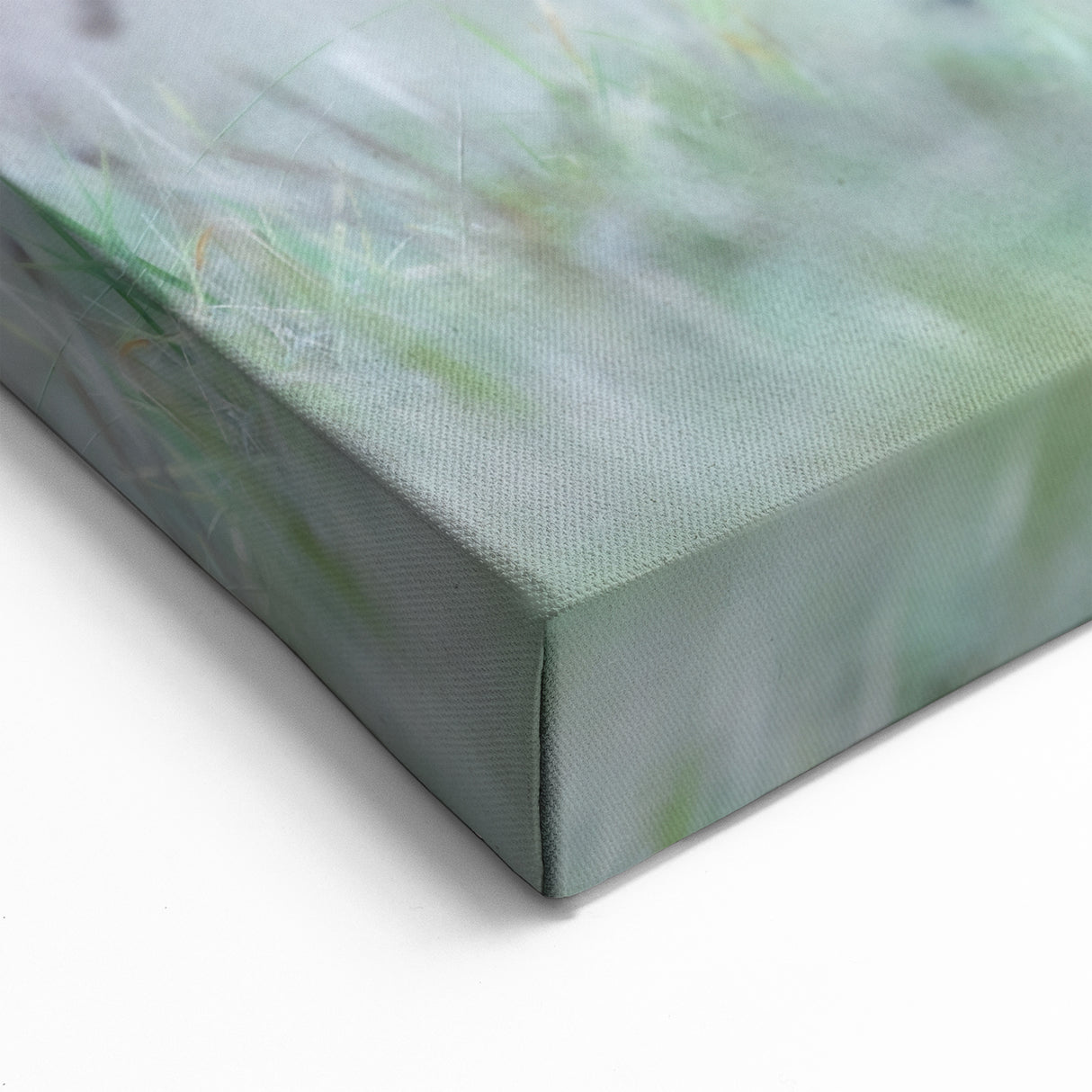 Flying Pheasant Wall Art - Dynamic Wildlife Canvas & Print Decor