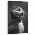 Elegant Black and White Puffin Art - Modern Puffin Decor for Homes
