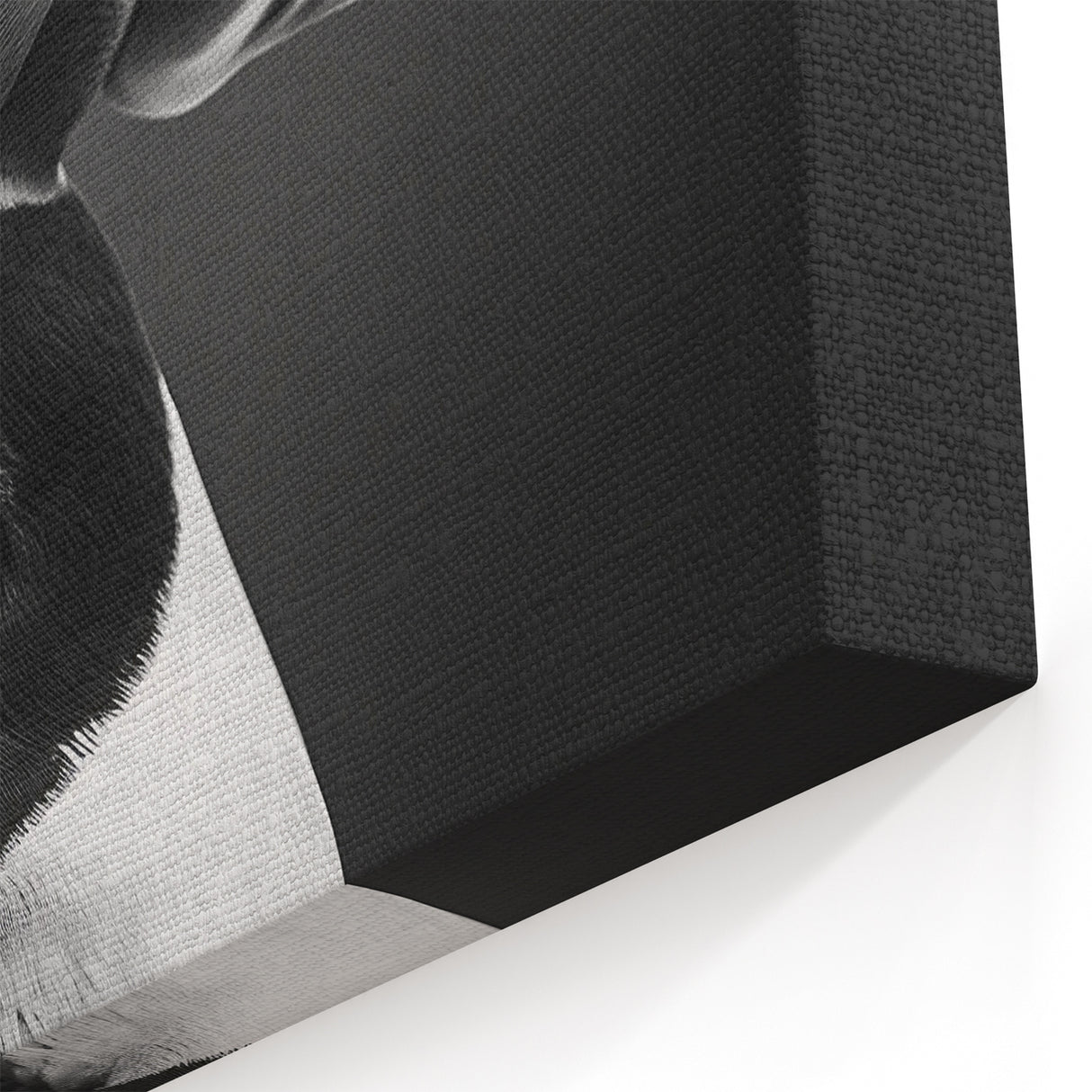 Elegant Black and White Puffin Art - Modern Puffin Decor for Homes