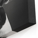 Elegant Black and White Puffin Art - Modern Puffin Decor for Homes