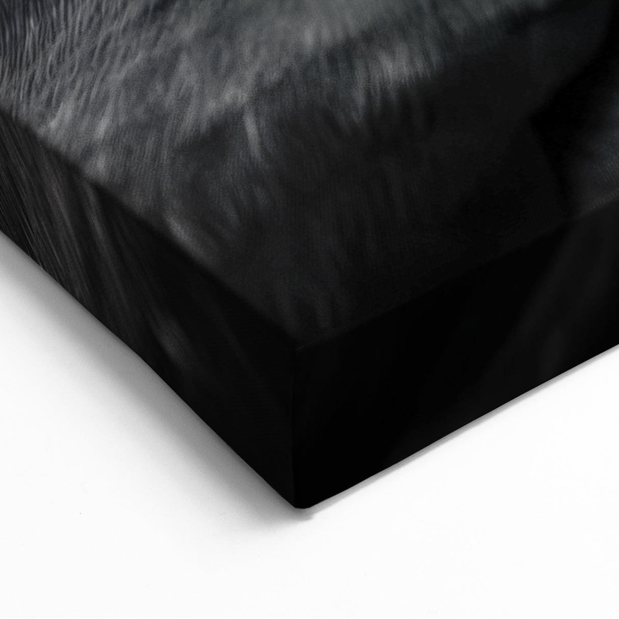 Elegant Black and White Puffin Art - Modern Puffin Decor for Homes