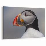 Vivid Puffin Close-Up Art - Captivating Puffin Decor for Your Home