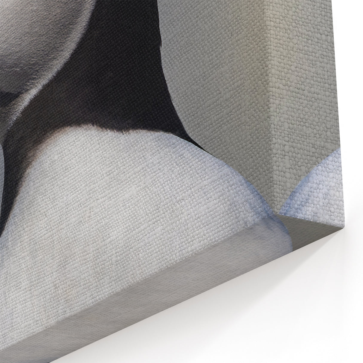 Vivid Puffin Close-Up Art - Captivating Puffin Decor for Your Home