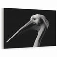 Black and White Pelican Art - Elegant Monochrome Pelican Decor