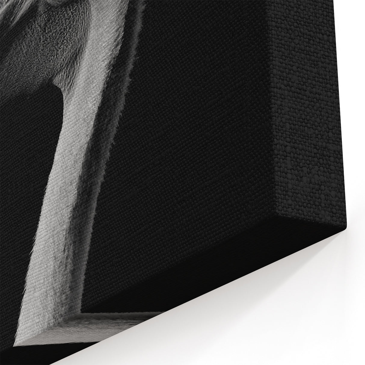 Black and White Pelican Art - Elegant Monochrome Pelican Decor