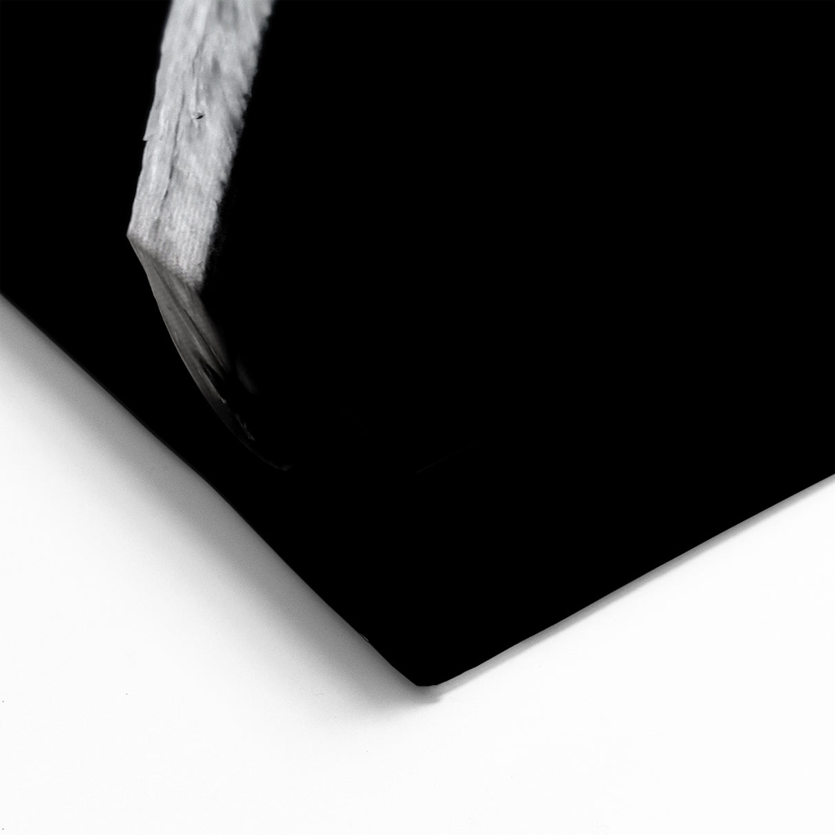 Black and White Pelican Art - Elegant Monochrome Pelican Decor