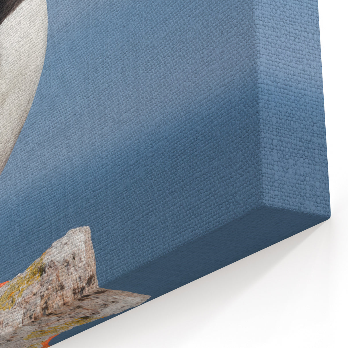 Majestic Puffin Wall Art - Elegant Puffin Decor for Nature Lovers