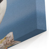 Majestic Puffin Wall Art - Elegant Puffin Decor for Nature Lovers