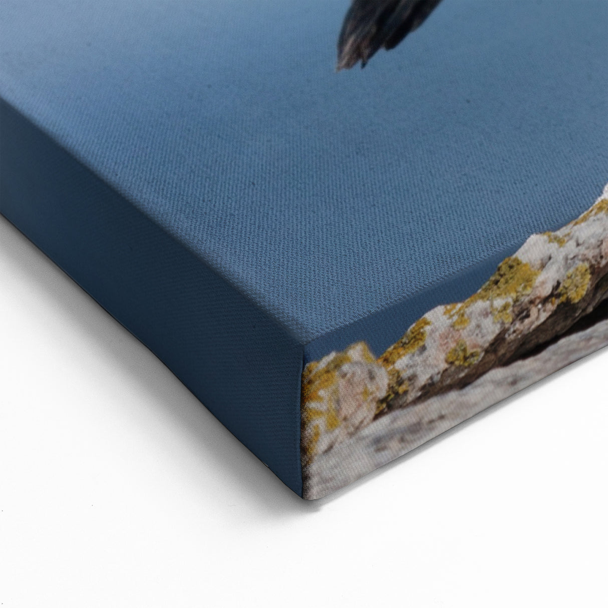 Majestic Puffin Wall Art - Elegant Puffin Decor for Nature Lovers