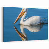 Serene Pelican Reflection Art - Tranquil Pelican Decor for Calm Spaces