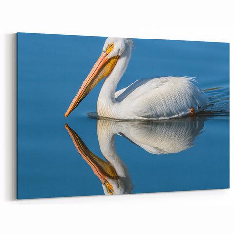 Serene Pelican Reflection Art - Tranquil Pelican Decor for Calm Spaces