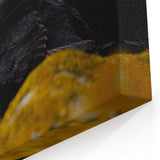 Dramatic Puffin Wall Art - Captivating Puffin Decor for Modern Spaces