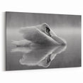 Elegant Swan Wall Art - Serene Black & White Swan Canvas Decor Print