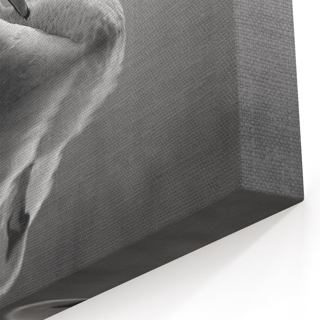 Elegant Swan Wall Art - Serene Black & White Swan Canvas Decor Print