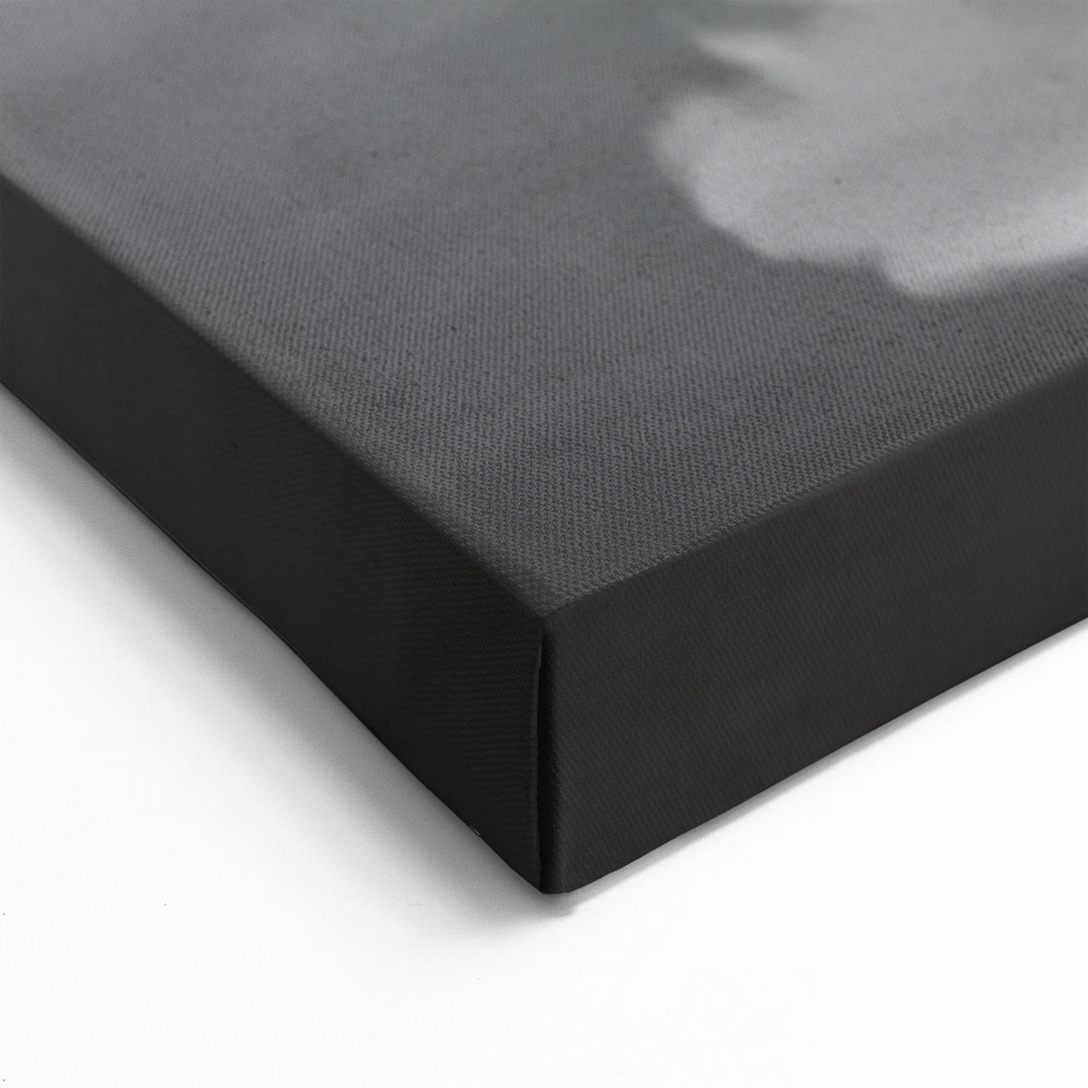 Elegant Swan Wall Art - Serene Black & White Swan Canvas Decor Print