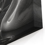 Black and White Swan Heart Wall Art - Elegant Swan Canvas Print