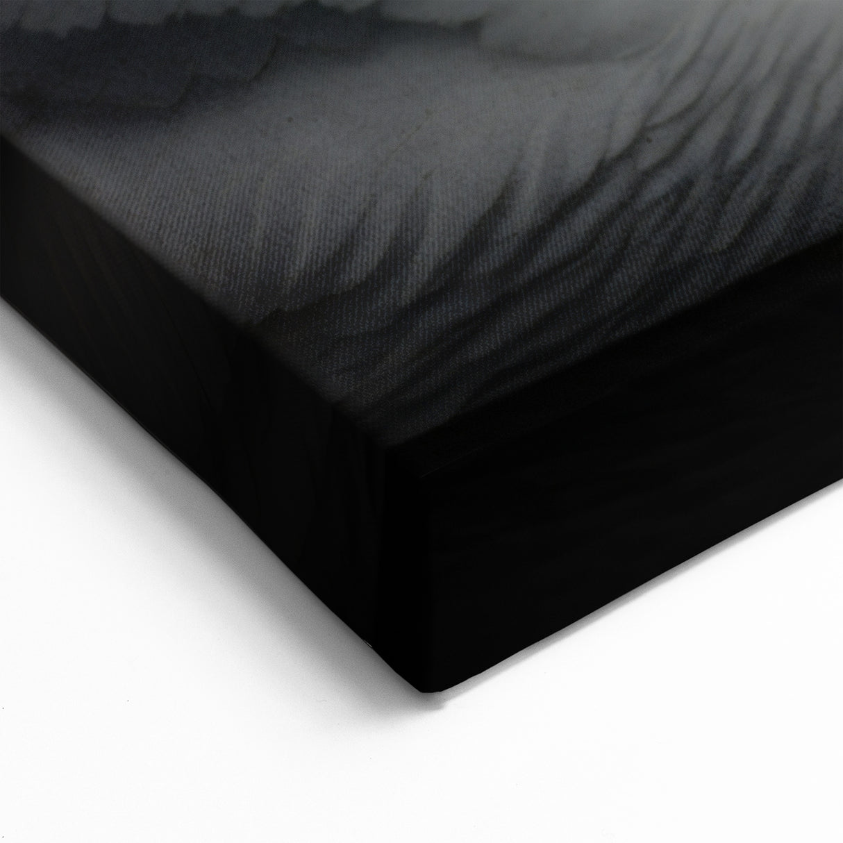 Black and White Swan Heart Wall Art - Elegant Swan Canvas Print