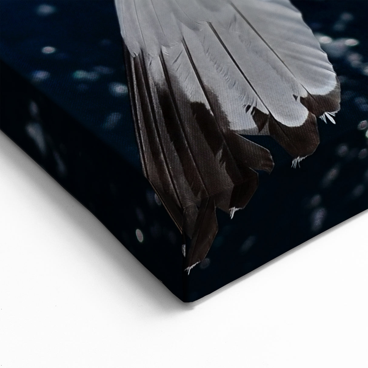 Graceful Sea Birds in Flight - Coastal Birds Print & Ocean Birds Decor