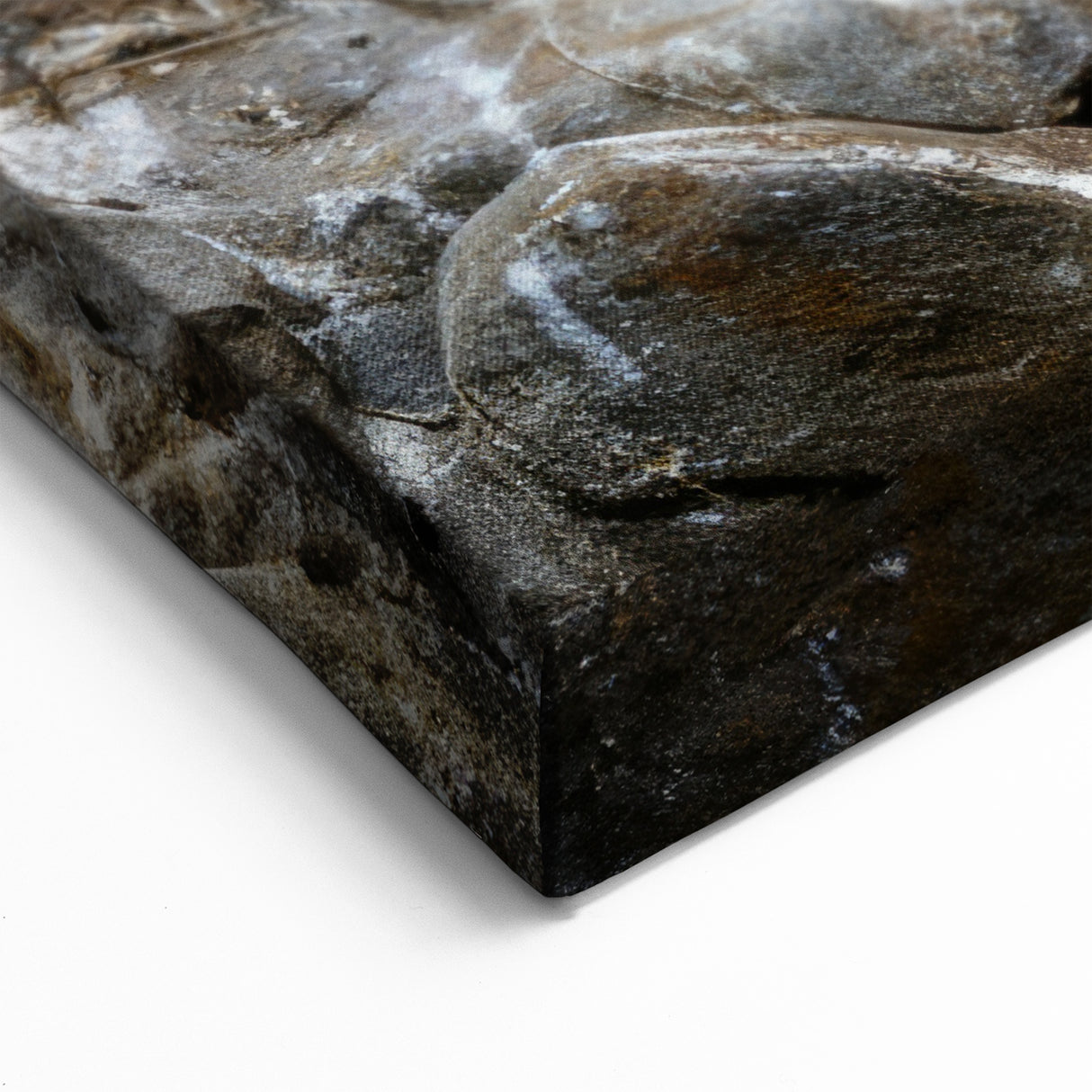 Serene Seabird Nesting - Ocean Birds Canvas Art & Coastal Wall Decor