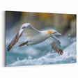 Dynamic Seabird in Flight - Ocean Birds Canvas Art & Coastal Decor