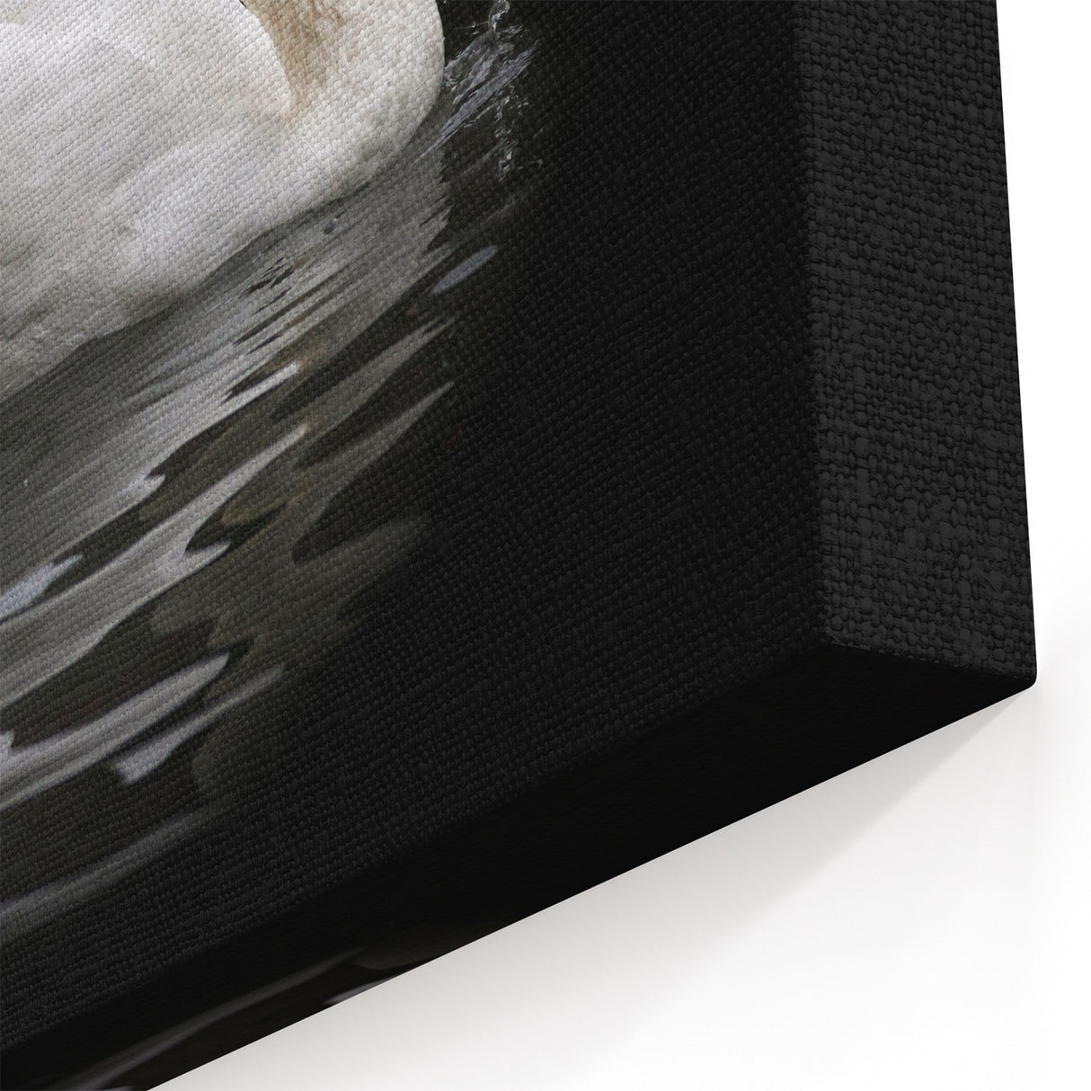 White Swan Wall Art - Elegant Swan Canvas Print with Dark Background