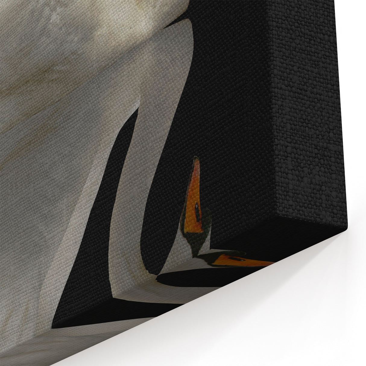 White Swan Reflection Wall Art - Elegant Swan Canvas with Black Background