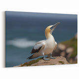 Majestic Seabird on Cliff - Coastal Birds Canvas Art & Ocean Decor