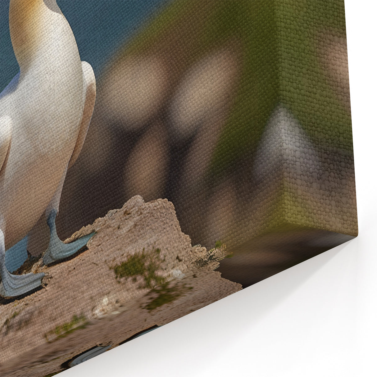 Majestic Seabird on Cliff - Coastal Birds Canvas Art & Ocean Decor