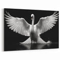 Dramatic Swan Wall Art - Powerful Swan Canvas Print with Black Background