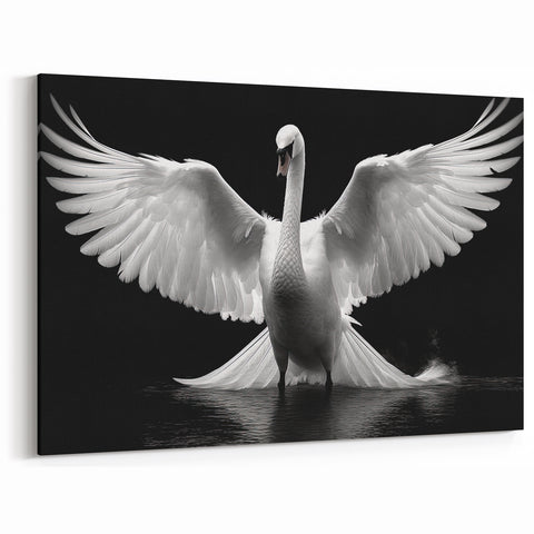 Dramatic Swan Wall Art - Powerful Swan Canvas Print with Black Background