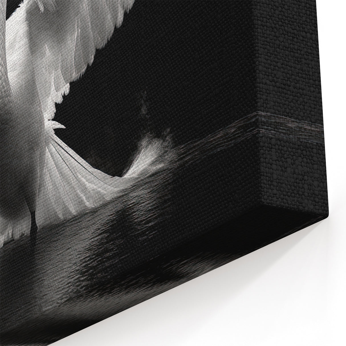 Dramatic Swan Wall Art - Powerful Swan Canvas Print with Black Background