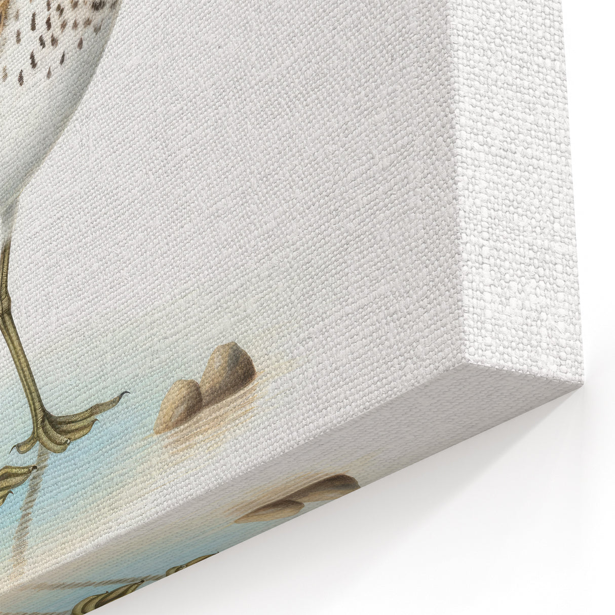 Elegant Shore Birds Wall Art - Coastal Birds Canvas & Framed Decor Print