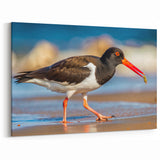 Vibrant Shore Birds Wall Art - Coastal Birds Canvas & Framed Decor Print