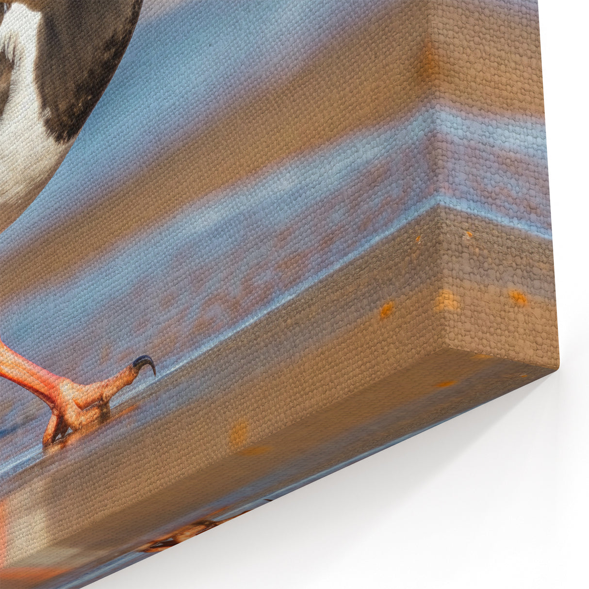 Vibrant Shore Birds Wall Art - Coastal Birds Canvas & Framed Decor Print