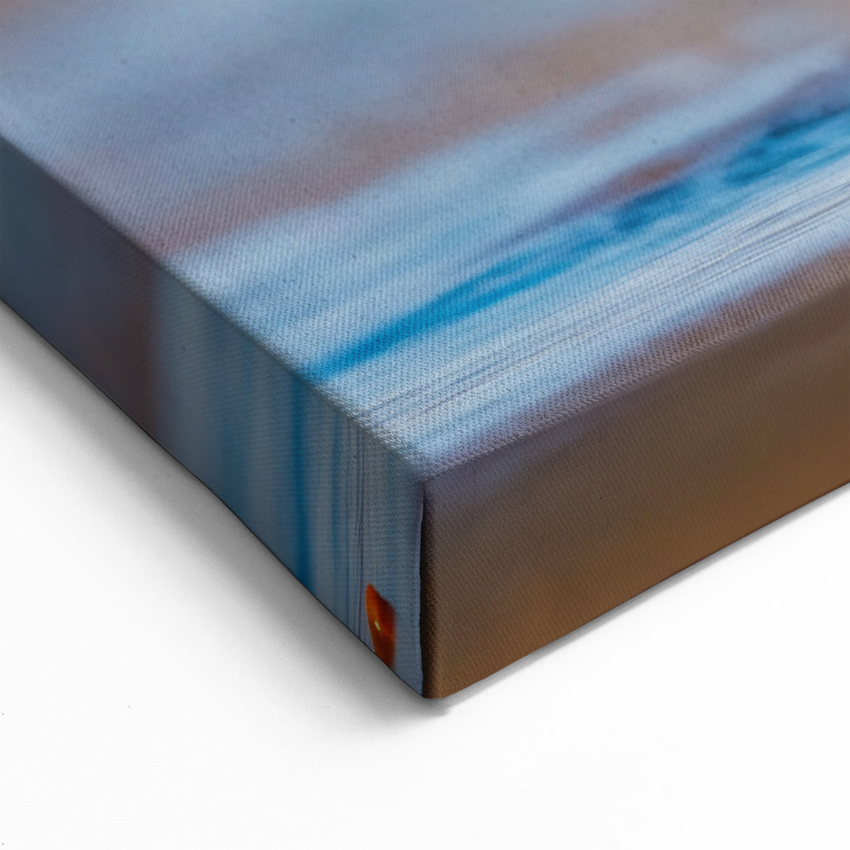 Vibrant Shore Birds Wall Art - Coastal Birds Canvas & Framed Decor Print