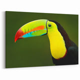 Vibrant Tropical Toucan Wall Art - Exotic Birds Canvas Print for Home Decor