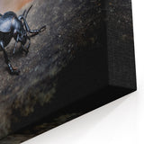 Beetle Wall Art - Nature's Beauty Captured on Canvas, Framed & Acrylic Prints