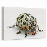 Beetle Art Print - Striking Nature-Inspired Decor on Canvas & Acrylic Glass