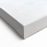 Beetle Art Print - Striking Nature-Inspired Decor on Canvas & Acrylic Glass